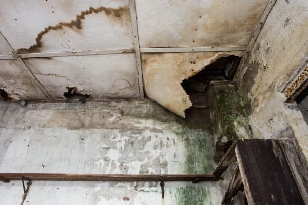 Cost of Water Damage Service in South Jordan