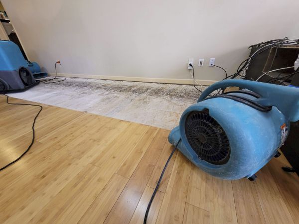 Cost of Water Damage Mitigation in South Jordan