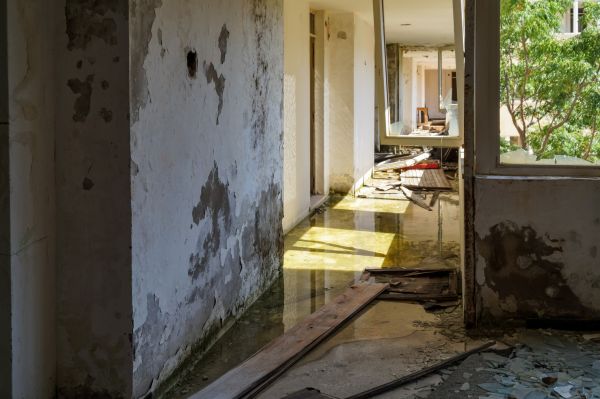 Cost of Water Removal Service in South Jordan