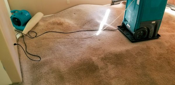 Cost of Carpet Water Extraction in South Jordan